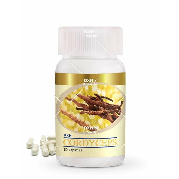 dxn_HF024_cordyceps.jpg
