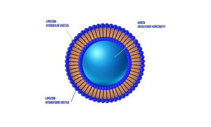 Rozdíl mezi běžným vitamínem C a lipozomálním vitamínem C