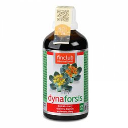fin_dynaforsis_100.jpg