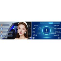 Shiatsu_voice_control.jpg