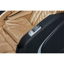 Shiatsu_max_a16_gold_control_1.jpg