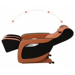 Shiatsu_max_A5_zero_2.jpg