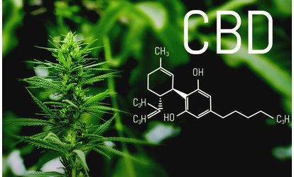 Co je CBD?