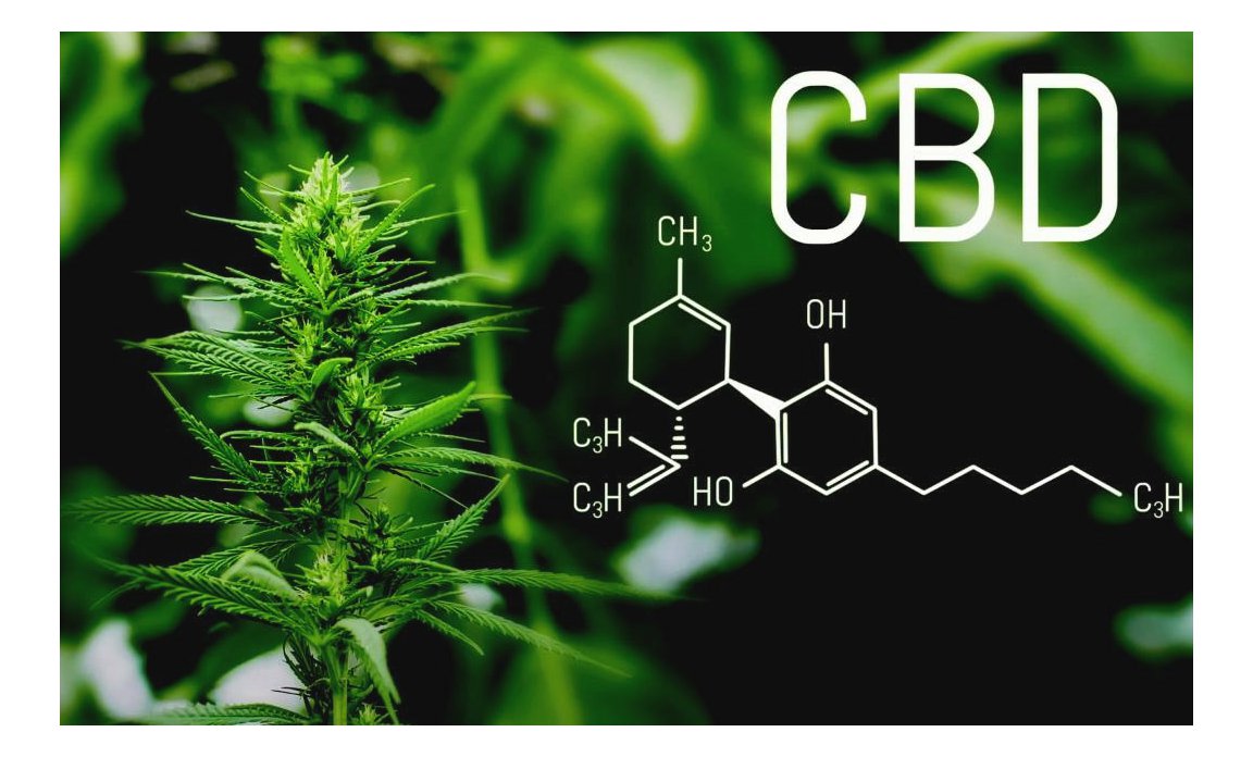 cbd.jpg